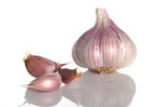 Аватар garlic