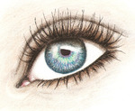  _Beauty_eyes