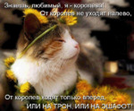  snasvetlana