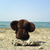1504660_89414-50x50x.jpg