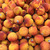 1724572_33267-50x50x.jpg