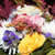 1910609_48549-50x50x.jpg